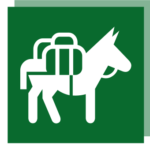 site-icon