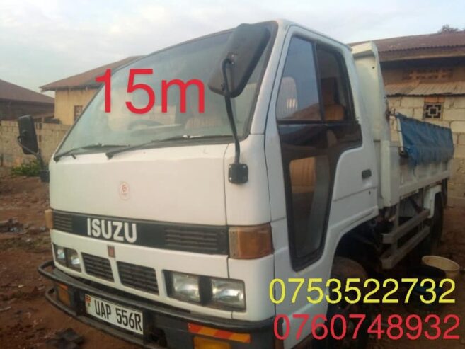 ISUZU tipper