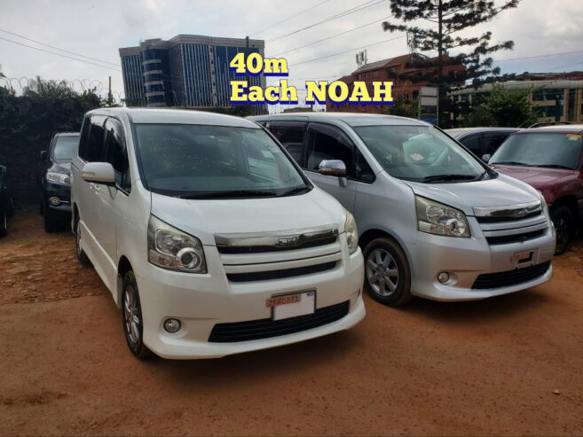 Toyota Noah (Each at 40m)