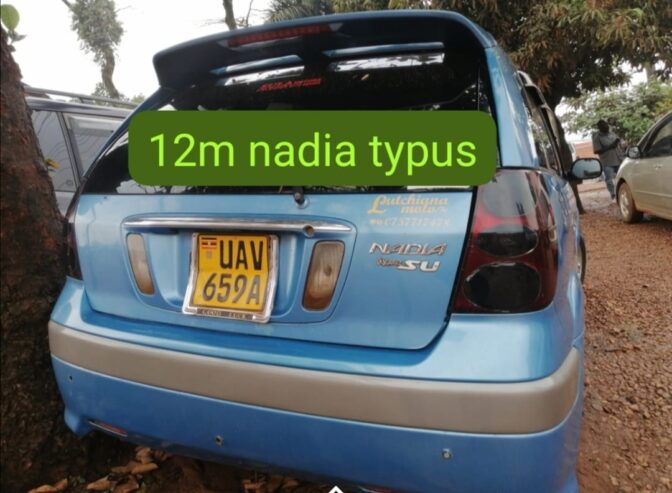 Toyota Nadia type Su