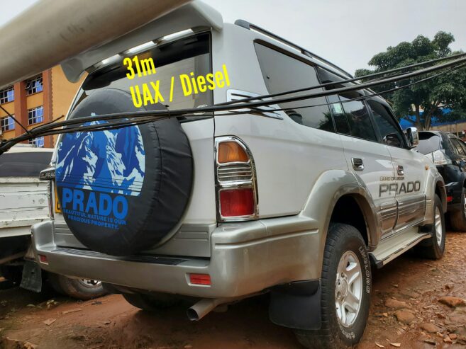 Toyota prado