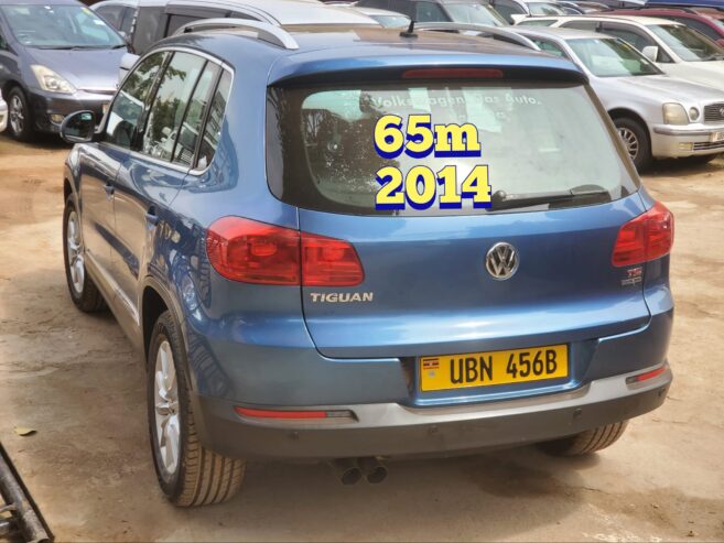 Volkswagen Tiguan 2014