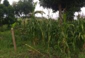 Plot for sale in Bujuuko on Mityana rd