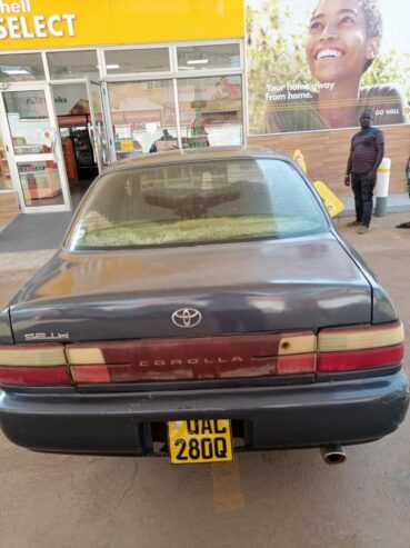 Toyota corrolla