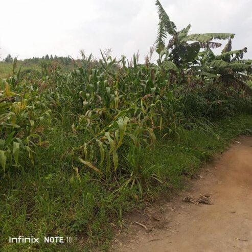 Plot for sale in Bujuuko on Mityana rd