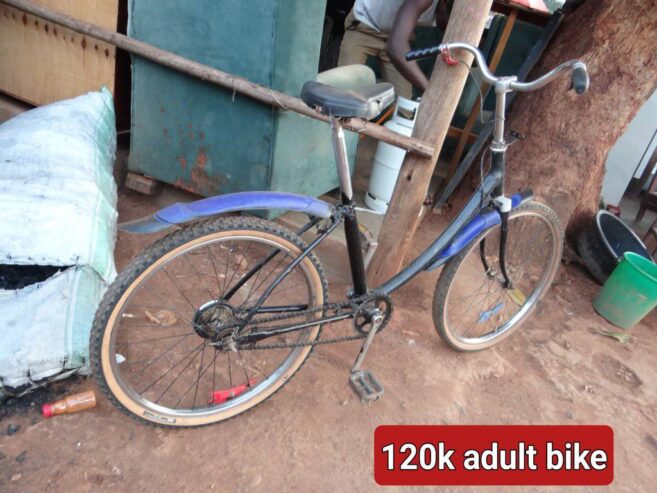 Adult Bike