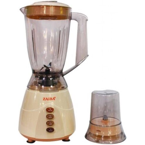 2 IN 1 BLENDER