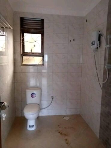 Executive 2bedrooms Apartment houses for rent in Kireka