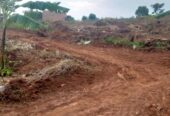 MATUGGA, KITANDA KILYAMULI PLOTS FOR SALE