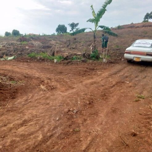 MATUGGA, KITANDA KILYAMULI PLOTS FOR SALE