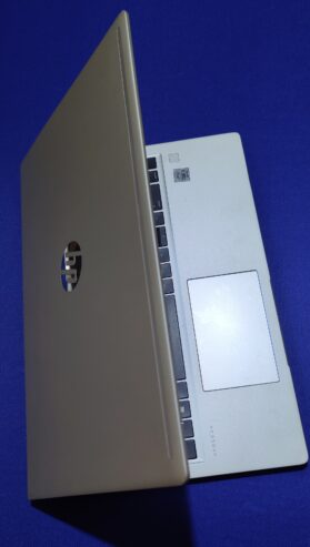 HP Probook 450 G7 10Th Gen ~ i5- 8GB- 1TB 15.6