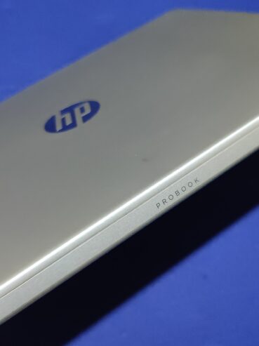 10Th Gen HP ProBook 450 G7 Core i5 1TB Laptop