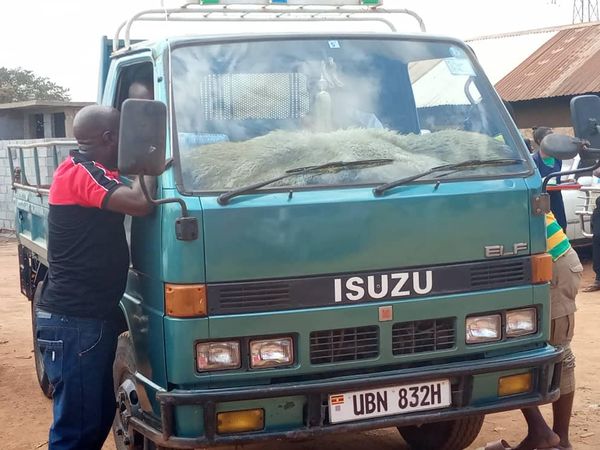 ISUZU TIPPER