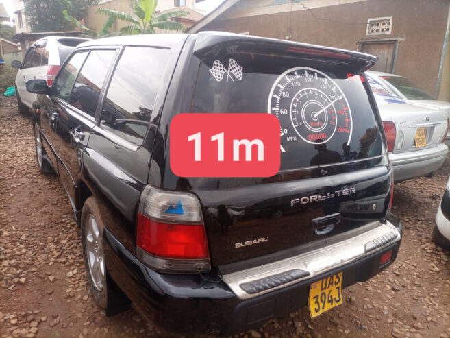 subaru forester at 11m