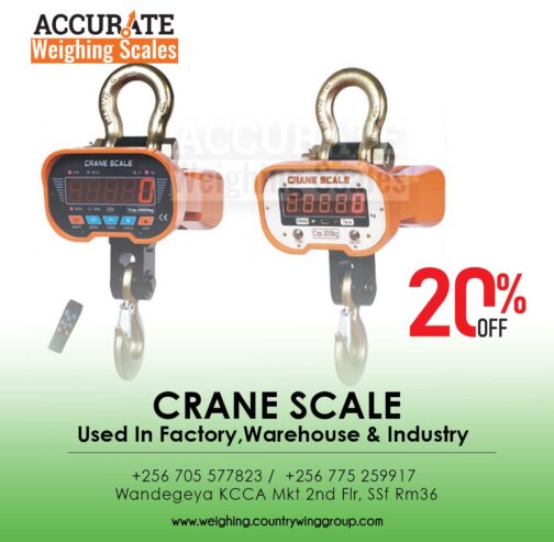 Heavy duty crane weighing scales with Peak hold function