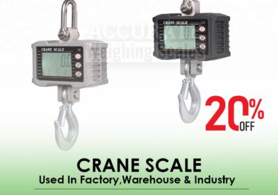 CRANE-SCALE-31