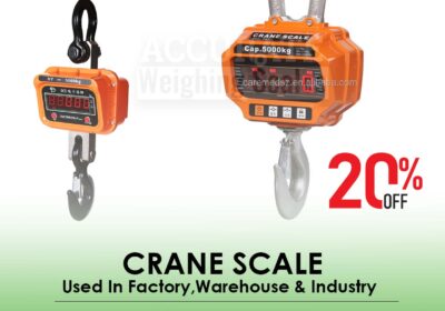 CRANE-SCALE-9