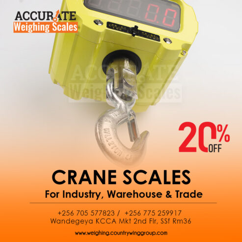 Stainless steel housing waterproof crane weighing scale