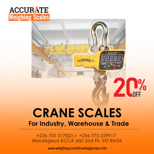 Digital Crane weighing scales with rechargeable 6v1.2Ah