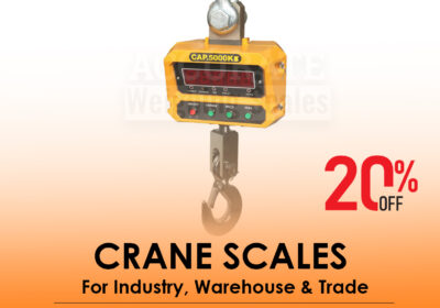 CRANE-SCALES-4