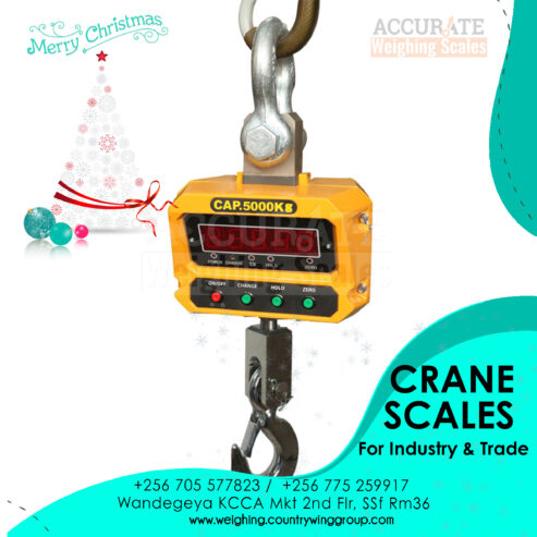 digital crane weighing scale for commercial use in Kampala