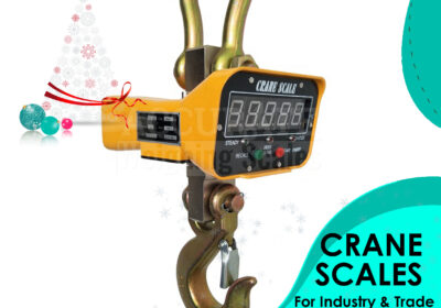 CRANE-WEIGHING-SCALES-16