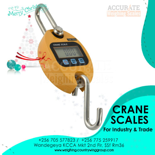 Mini Crane weighing Scale Portable Digital in Kampala