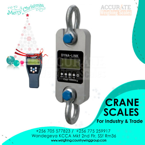 digital crane weighing scale for commercial use in Kampala