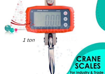 CRANE-WEIGHING-SCALES-21