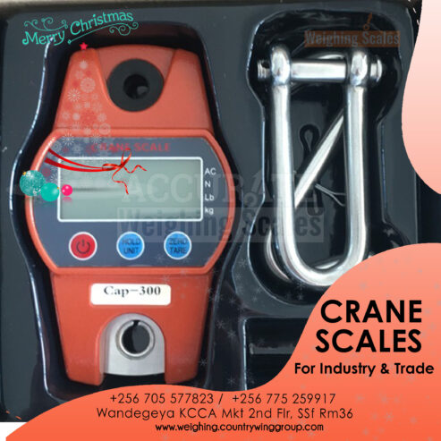 Digital Portable Hook Hanging Weighing scale in Kampala