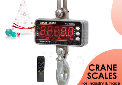 CRANE-WEIGHING-SCALES-27-1