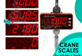 Mini Crane weighing Scale Industrial digital type in Kampala