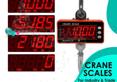 CRANE-WEIGHING-SCALES-3-1