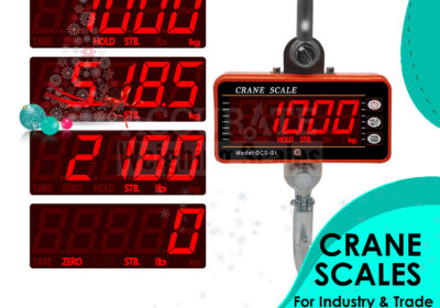 CRANE-WEIGHING-SCALES-3-2