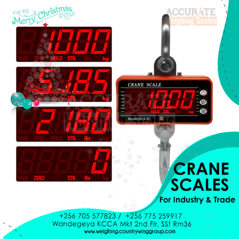 digital crane weighing scale for commercial use in Kampala