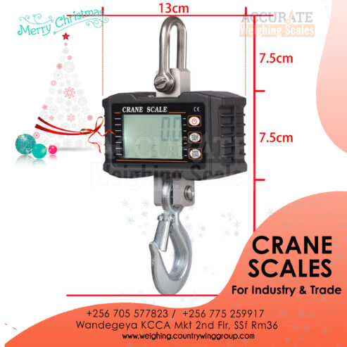 Digital weighing Hook crane Hanging Scale in Kampala