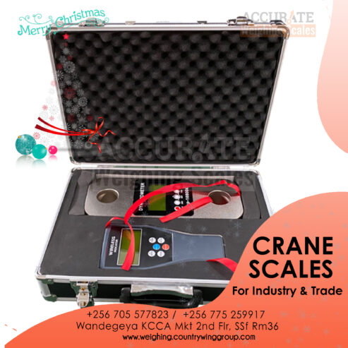 Digital Portable Hook Hanging Weighing scale in Kampala