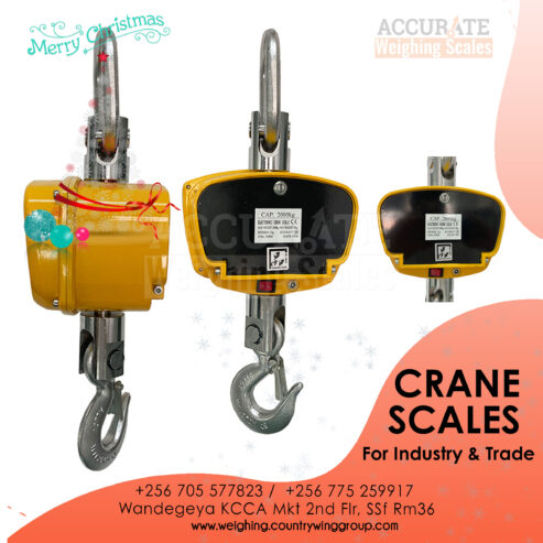 Digital Portable Hook Hanging Weighing scale in Kampala