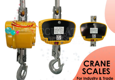 CRANE-WEIGHING-SCALES-32
