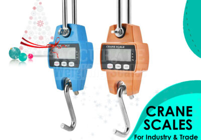 CRANE-WEIGHING-SCALES-35