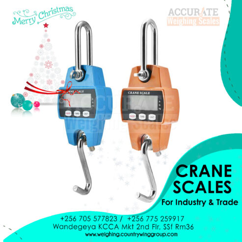 Mini Crane weighing Scale Portable Digital in Kampala