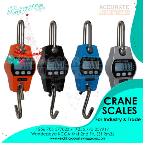 Digital weighing Hook crane Hanging Scale in Kampala