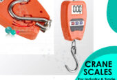 digital crane weighing scale for commercial use in Kampala