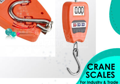 CRANE-WEIGHING-SCALES-40