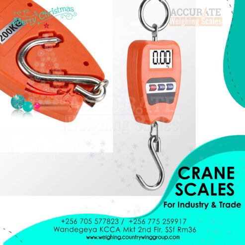 digital crane weighing scale for commercial use in Kampala