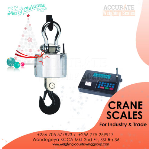 Digital Portable Hook Hanging Weighing scale in Kampala