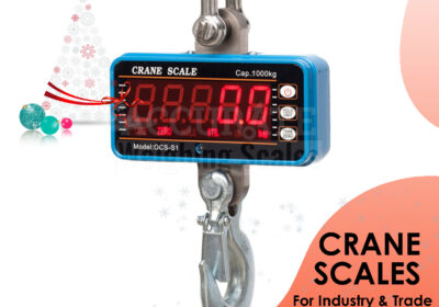 CRANE-WEIGHING-SCALES-6