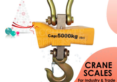 CRANE-WEIGHING-SCALES-7-1