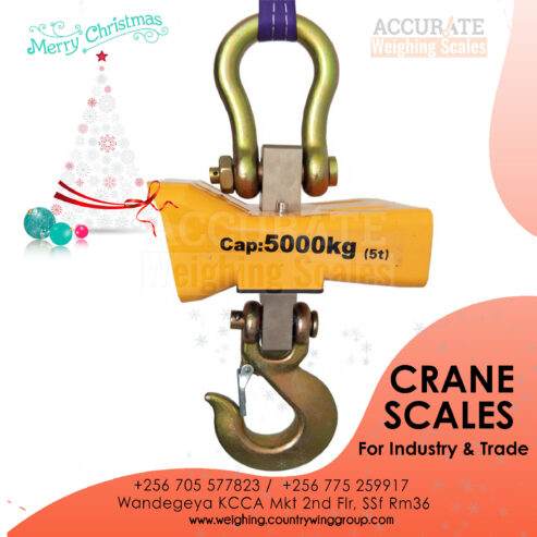 Digital Crane Hang weighing Scale 300kg in Kampala