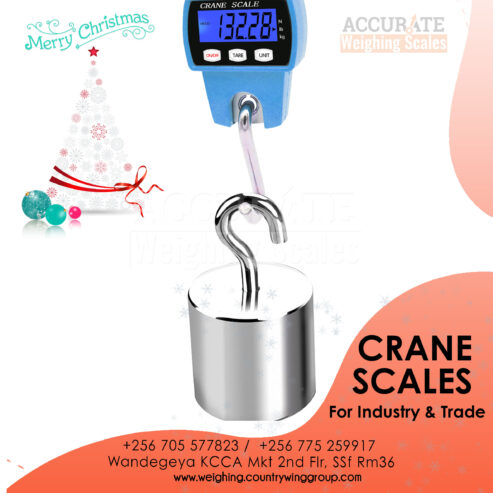 Mini Crane weighing Scale Industrial digital type in Kampala